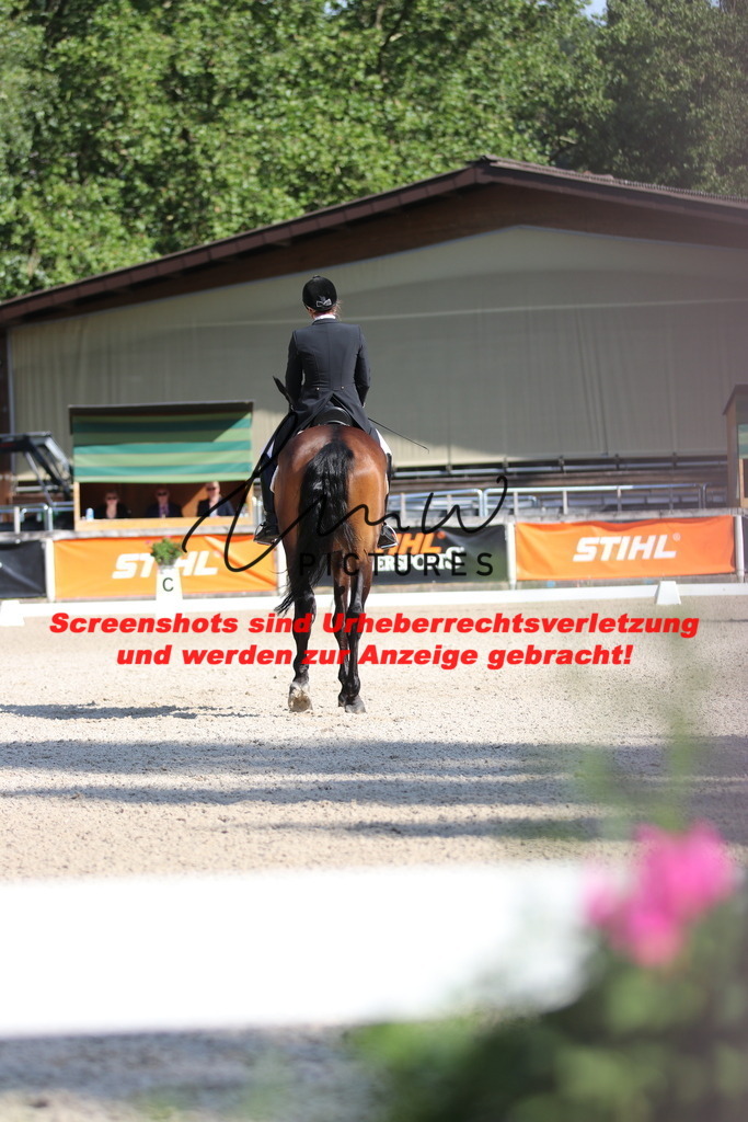 IMG_1156 | lmwpictures - Realisiert mit Pictrs.com