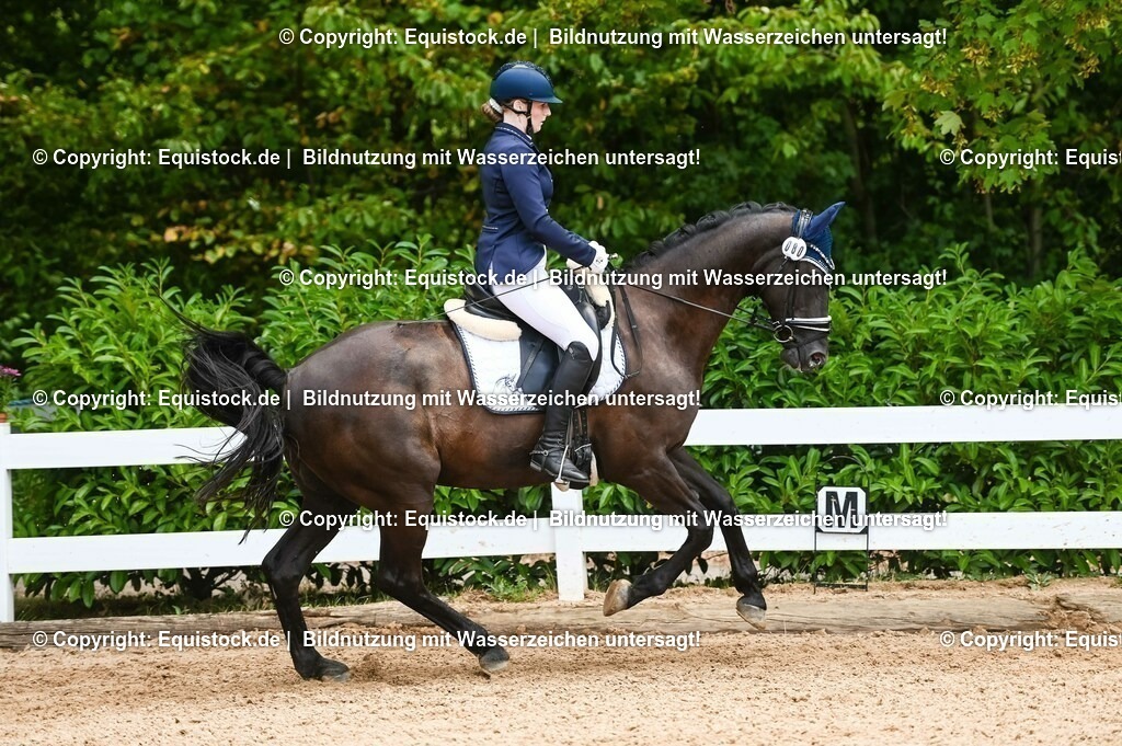 20230716_03_Dressurprfg. Kl.L - Tr._0634 | equistock