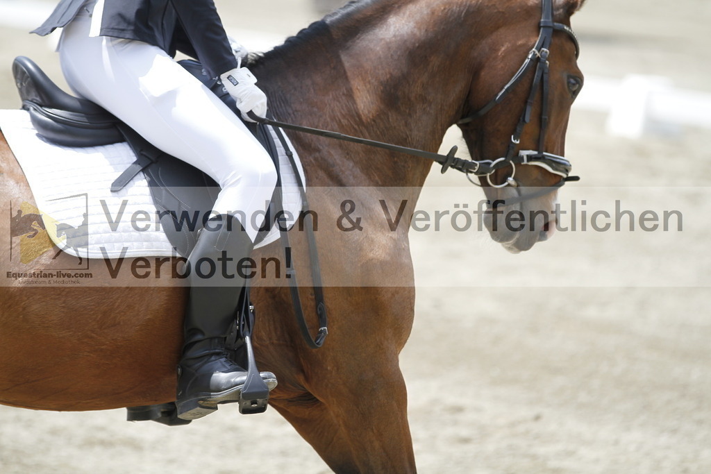 _MG_1466 | equestrian-live-com