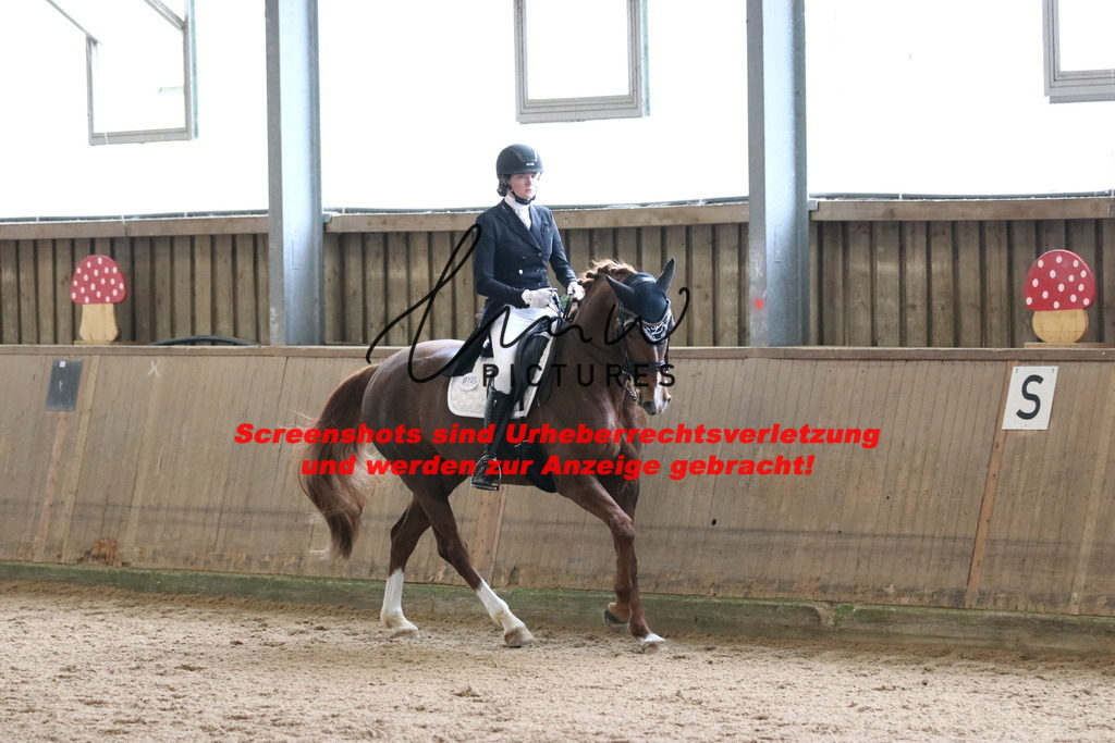 IMG_1206 | lmwpictures - Realisiert mit Pictrs.com