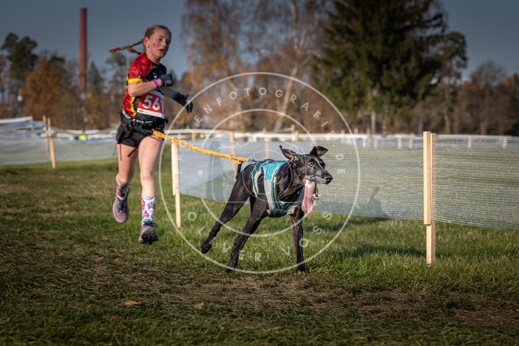 CaniXpix_0L8A9231 | Hundefotografie, Tierfotograf, Pfotenfotografie, Fotoshooting Hund, Hunde Portrait, Hundesport, Hundeportraits, Heideshooting, Hunde, Sportfotograf, Hundefotograf, Turnierhundsport, THS,  - Realisiert mit Pictrs.com
