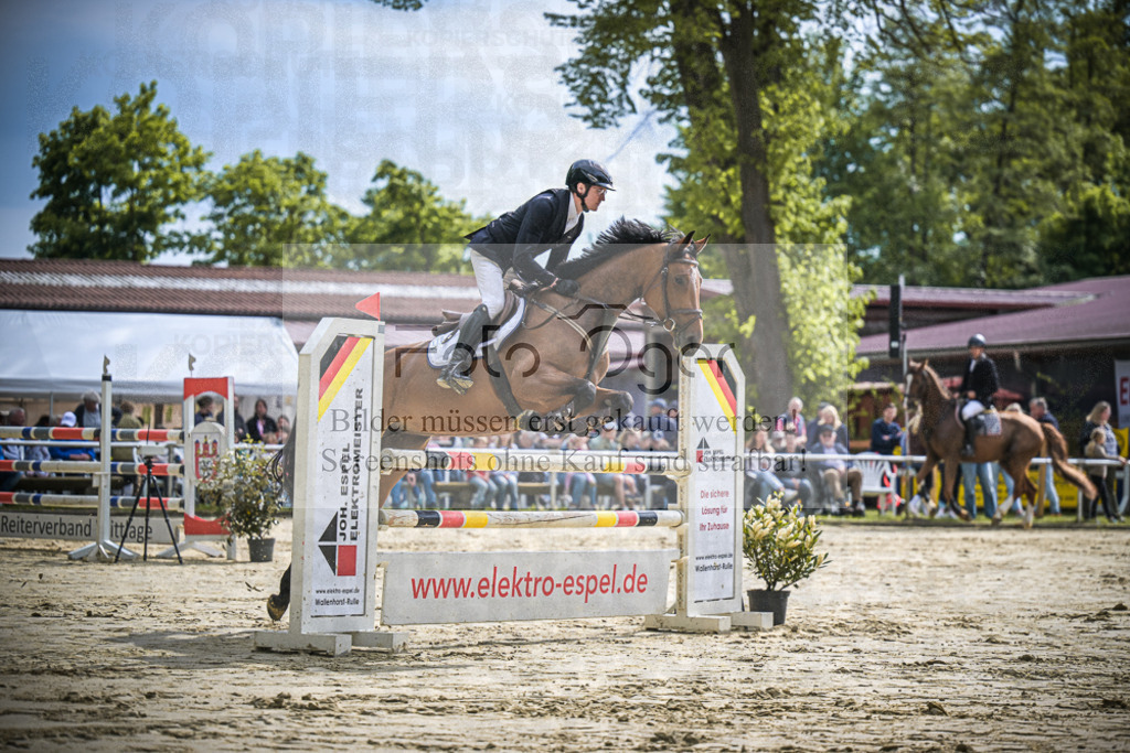 DOS_1457 | Entdecke hochwertige Reitturnierfotos von Foto Oger. Professionell, emotional und authentisch – jetzt Lieblingsmomente im Shop bestellen.Deutschlandweite Turnierfotografie. - Realisiert mit Pictrs.com