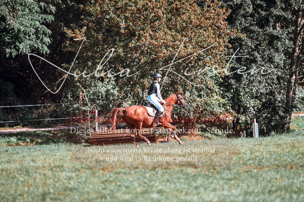 DSC_0874 | Pferde- und Turnierfotografie in Westsachsen. Pferdeportraits, Auftragszeichnungen und intuitive Kunst.
