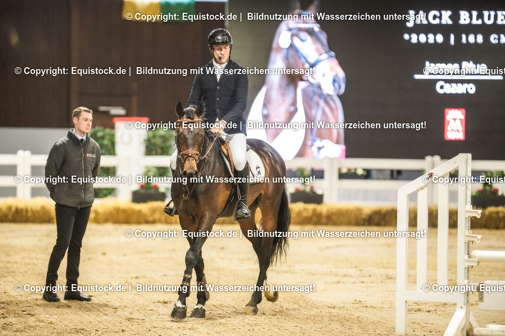 20240302_Hengstvorstellung_Marbach_TOMsPiC_0215 | equistock