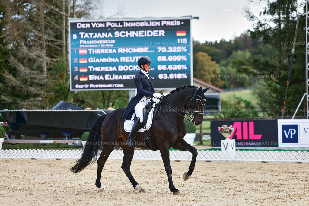 10-115-ST.GEORG SPECIAL -StoibPH-3184 | working equitationturnier fotograf videograf stoibphotography marixx film working equitation deutschland reitsport turnierfotografie eventfotografie equestrian events