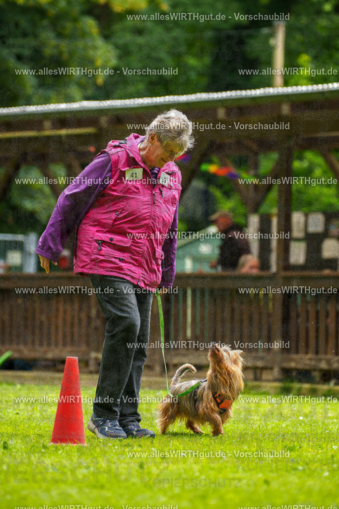 @allesWIRTHgut_Tierfotografie - www.allesWIRTHgut.de - 122408-7R508956 | Professionelle Tierfotografie in Mönchengladbach von Daniel Wirth (allesWIRTHgut). Liebevolle & natürliche Bilder von Hunden & Katzen für unvergessliche Erinnerungen.