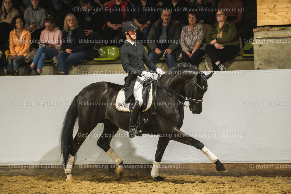 20240302_Hengstvorstellung_Marbach_TOMsPiC_1515 | equistock