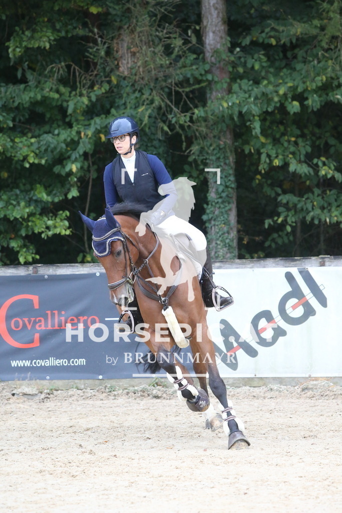 DL2Q0116 | Willkommen bei Brunnmayr - Design & Fotografie – Ihrem Spezialisten für Reitturniere und Pferdeveranstaltungen in Oberösterreich, Salzburg und Bayern! Seit über 17 Jahren sind wir leidenschaftlich dabei.