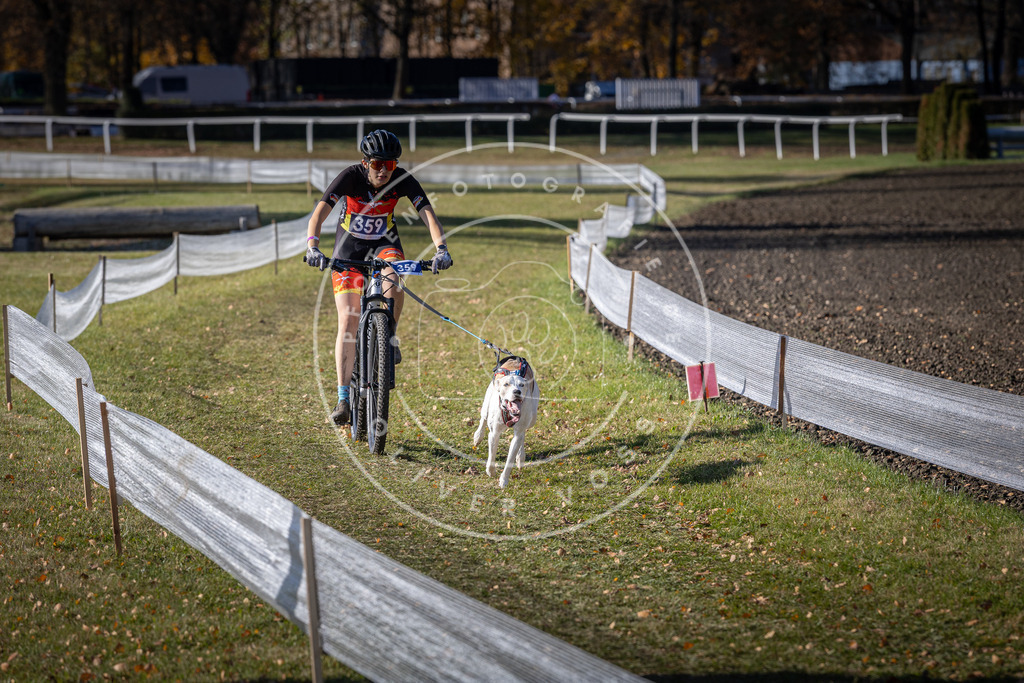 CaniXpix_DV3A7336 | Hundefotografie, Tierfotograf, Pfotenfotografie, Fotoshooting Hund, Hunde Portrait, Hundesport, Hundeportraits, Heideshooting, Hunde, Sportfotograf, Hundefotograf, Turnierhundsport, THS,  - Realisiert mit Pictrs.com