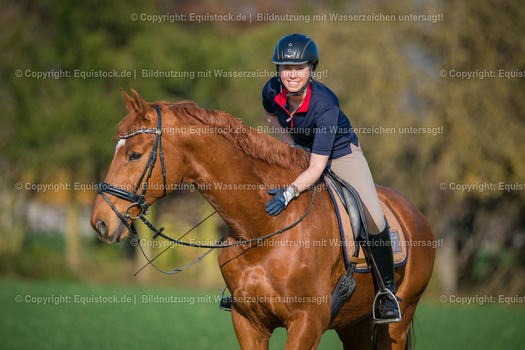 20160411_Fuchs_beim_Ausritt_0003 1 | equistock