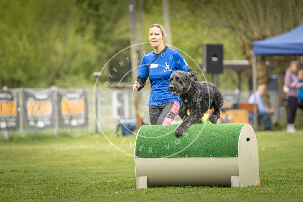 Pfotenfotografie_DV3A1428 | Hundefotografie, Tierfotograf, Pfotenfotografie, Fotoshooting Hund, Hunde Portrait, Hundesport, Hundeportraits, Heideshooting, Hunde, Sportfotograf, Hundefotograf, Turnierhundsport, THS,  - Realisiert mit Pictrs.com