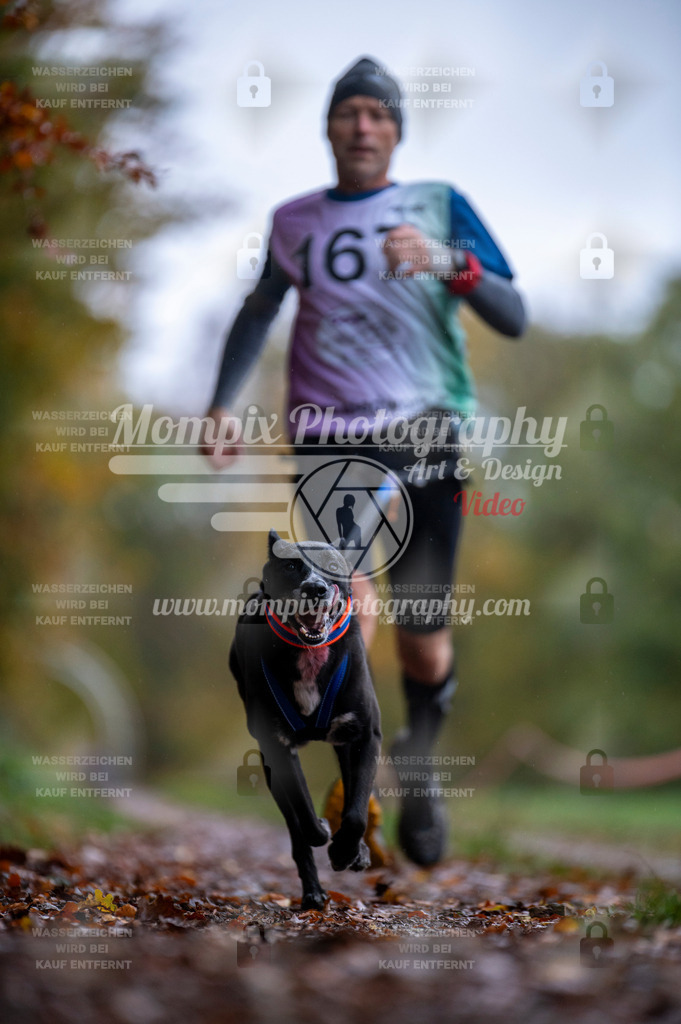 DBT_DAKM_SA_4_11_2023_Canicross-83 | PayLife