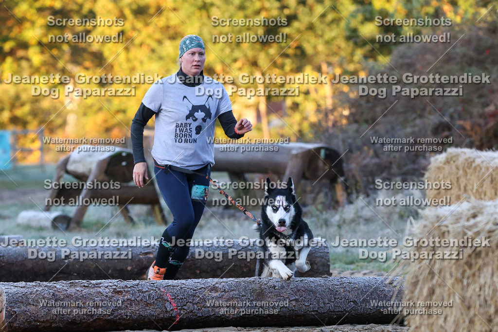 Dog Paparazzi - Strongdog 10-25-280 | Dog Paparazzi Jeanette Grottendiek Fotografie & Videografie - Realisiert mit Pictrs.com