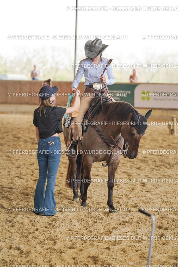 DSC02289 | Pferdegrafie