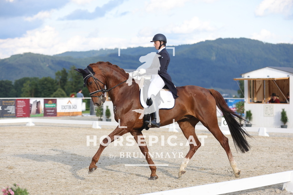 0P6A7773 | Willkommen bei Brunnmayr - Design & Fotografie – Ihrem Spezialisten für Reitturniere und Pferdeveranstaltungen in Oberösterreich, Salzburg und Bayern! Seit über 17 Jahren sind wir leidenschaftlich dabei.
