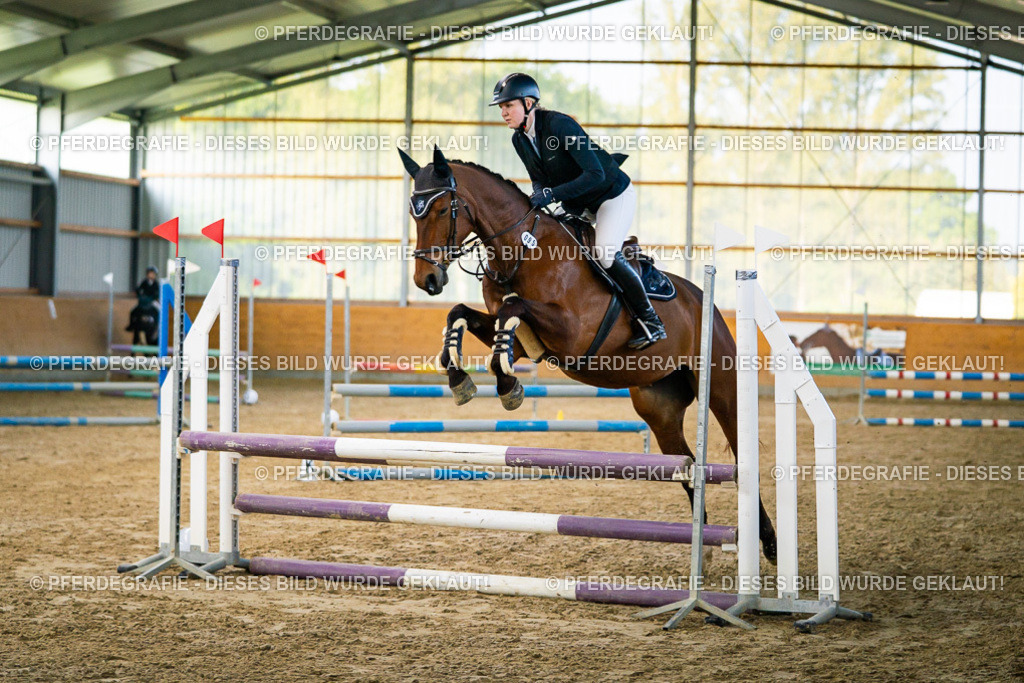 DSC00542 | Pferdegrafie