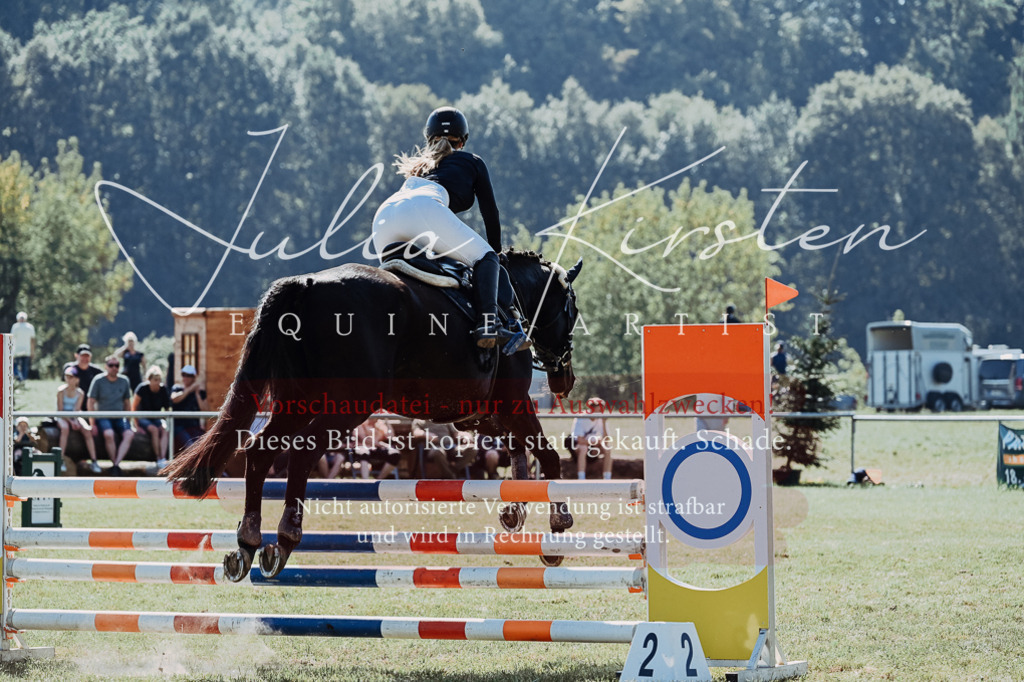 DSC_5761 | Pferde- und Turnierfotografie in Westsachsen. Pferdeportraits, Auftragszeichnungen und intuitive Kunst.