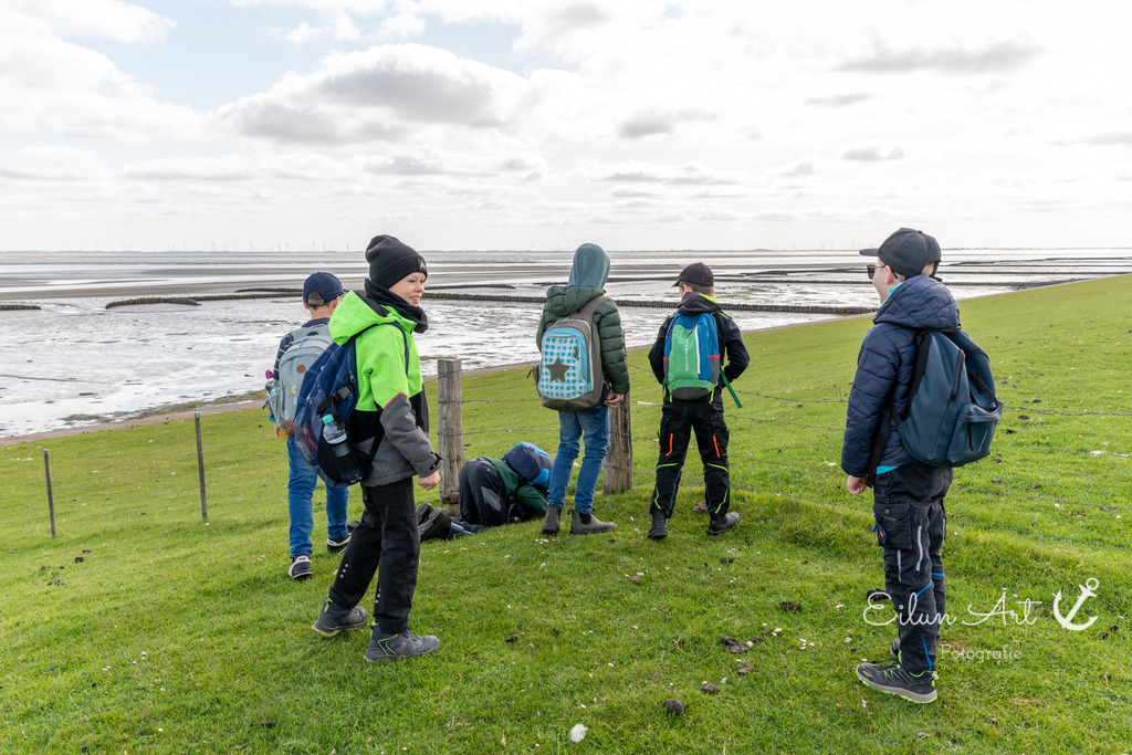EAF_1946 | Eilun-Art-Fotografie Levke Martens, ihre Fotografin für Immobilien- und Landschaftsfotografie auf Föhr, Föhrer Motive als Poster, Leinwand, hinter Acrylglas oder stelle dir deinen eigenen Monatskalender zusammen, mit nur einem Klick