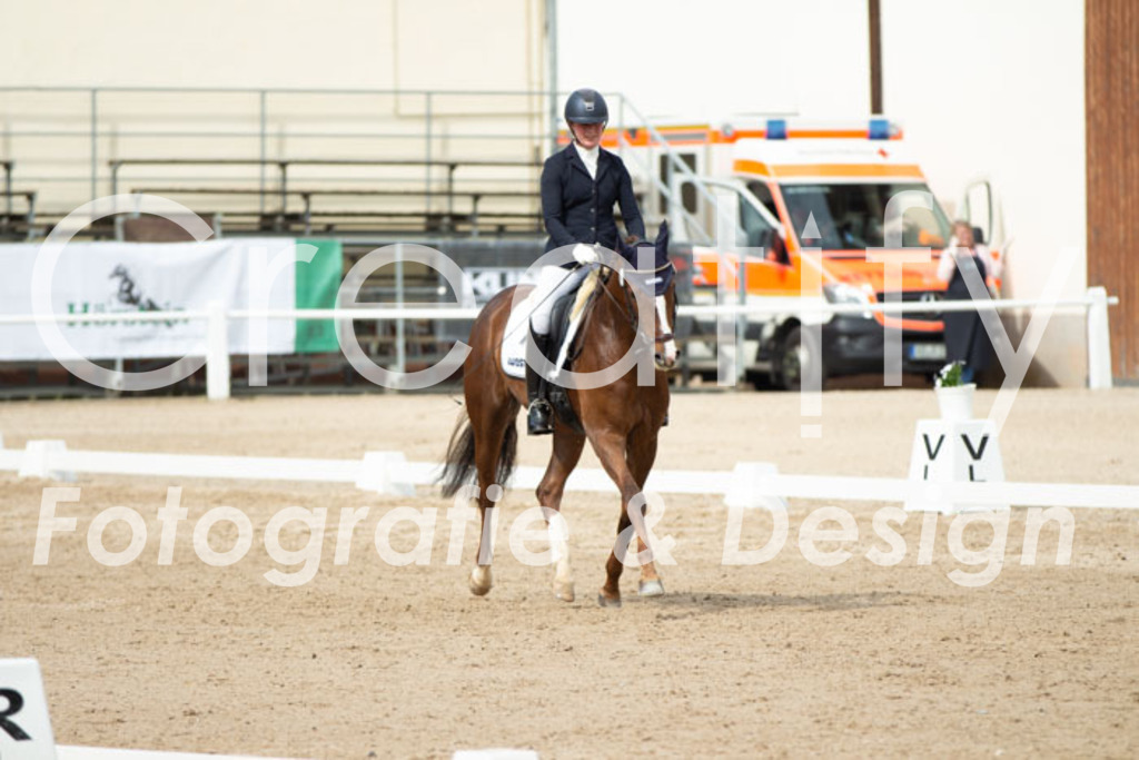 IMG_1615 | Creatify Fotografie