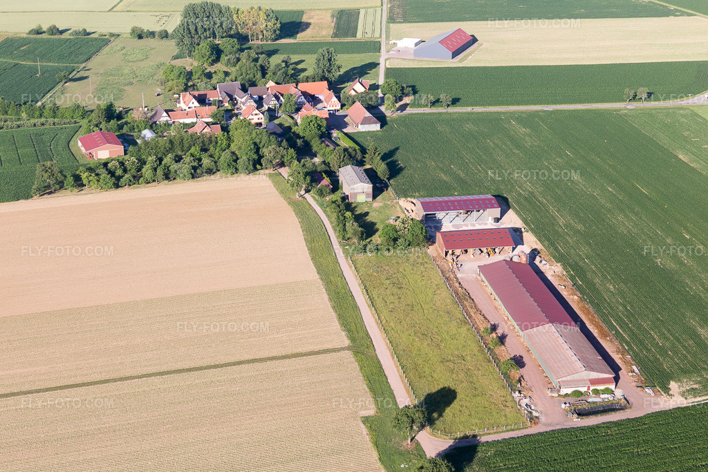 Aerial view: View of the town in Seebach in the state Bas-Rhin, France.Photo: IMG_100969.jpg taken on 06/17/2017 by Werner Riehm/FLY-FOTO.comResolution of the original: 5472 x 3648 px