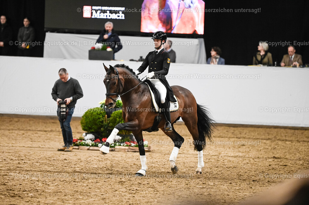 20260307_Hengstvorstellung-Marbach_0386 | equistock