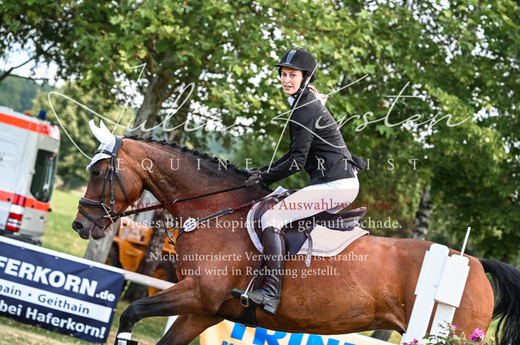 DSC_8063 | Pferde- und Turnierfotografie in Westsachsen. Pferdeportraits, Auftragszeichnungen und intuitive Kunst.