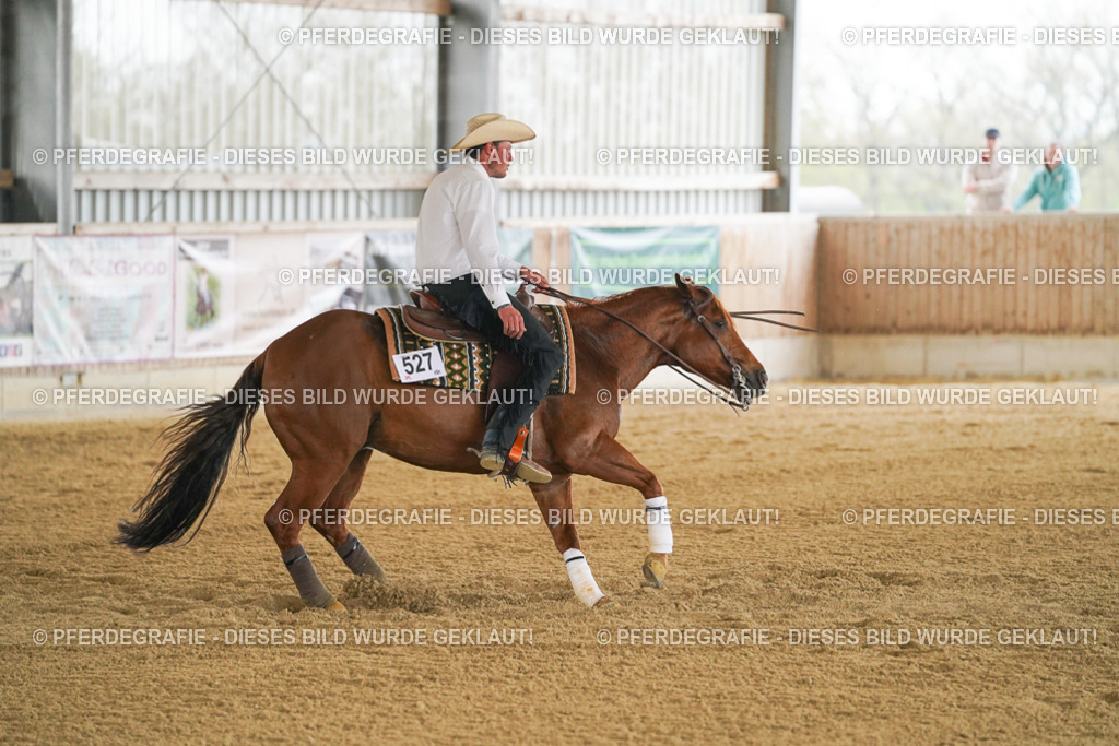 DSC07594 | Pferdegrafie