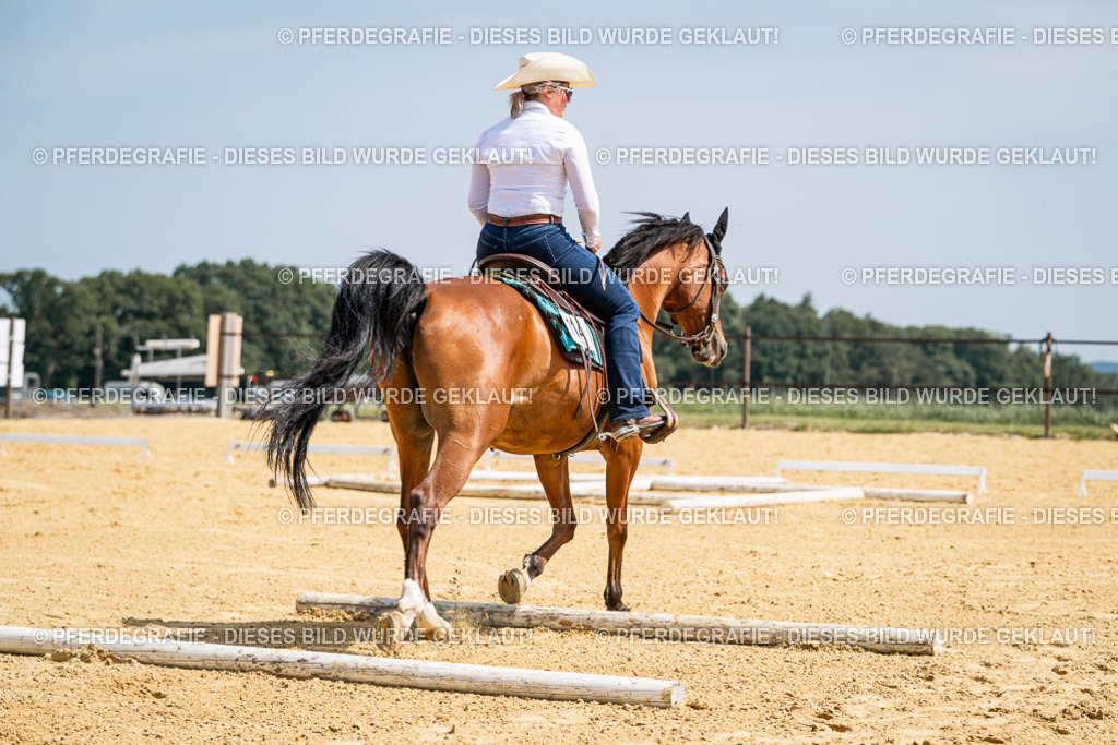 DSC00448 | Pferdegrafie