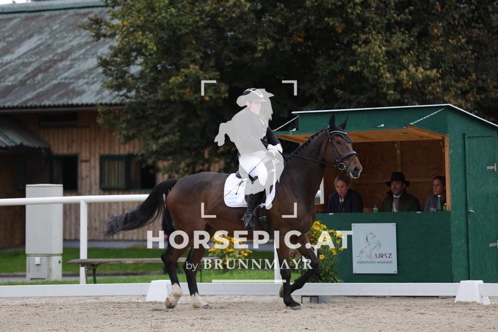 0P6A8016 | Willkommen bei Brunnmayr - Design & Fotografie – Ihrem Spezialisten für Reitturniere und Pferdeveranstaltungen in Oberösterreich, Salzburg und Bayern! Seit über 17 Jahren sind wir leidenschaftlich dabei.