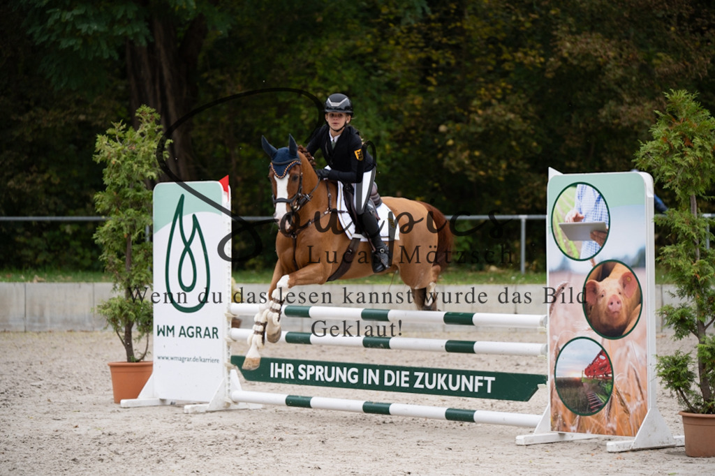 A7V08151 | Pferdefotograf