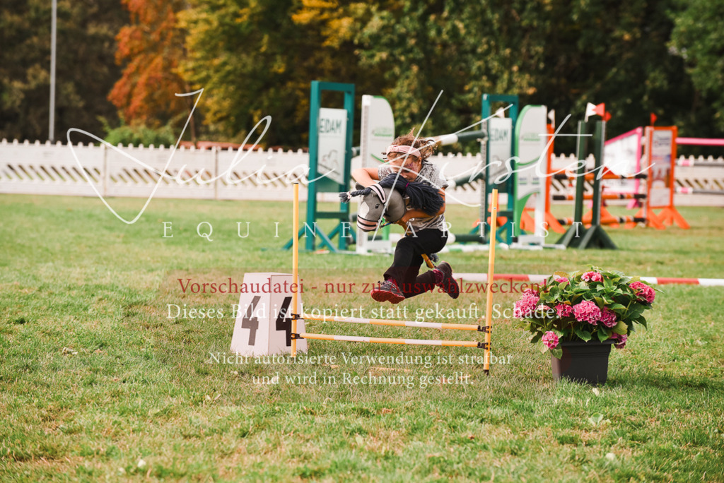 DSC_4615 | Pferde- und Turnierfotografie in Westsachsen. Pferdeportraits, Auftragszeichnungen und intuitive Kunst.