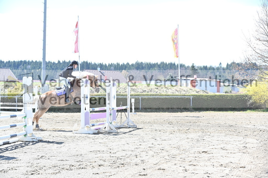 DSC_5341 | equestrian-live-com