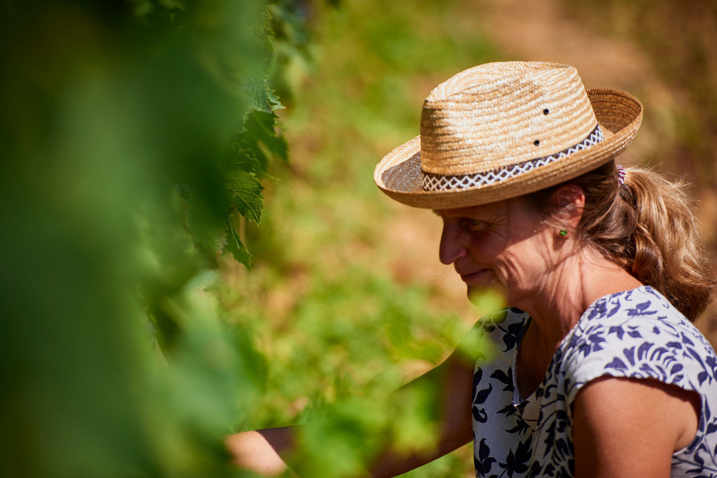 Katarina Nussbaum im Weingarten | Montalcino, Italien - August 30, 2016: Katarina Nussbaum im Weingarten. - Realisiert mit Pictrs.com