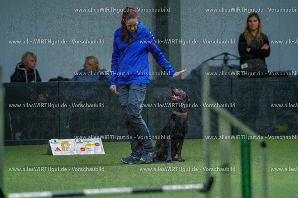 7R502442 | Professionelle Tierfotografie in Mönchengladbach von Daniel Wirth (allesWIRTHgut). Liebevolle & natürliche Bilder von Hunden & Katzen für unvergessliche Erinnerungen.