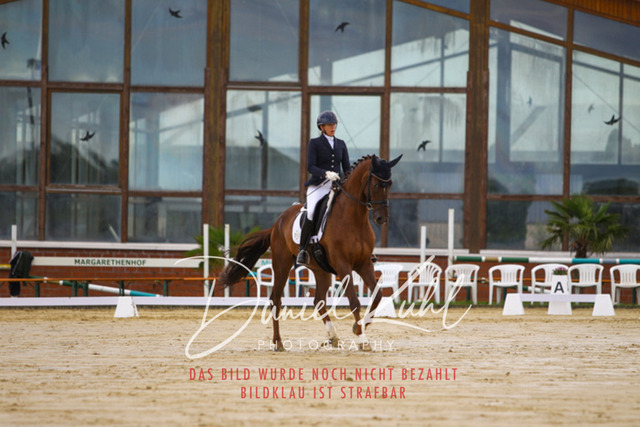 DKP43819 | Turniersportfotografie; Pferdefotografie; Dressurfotografie