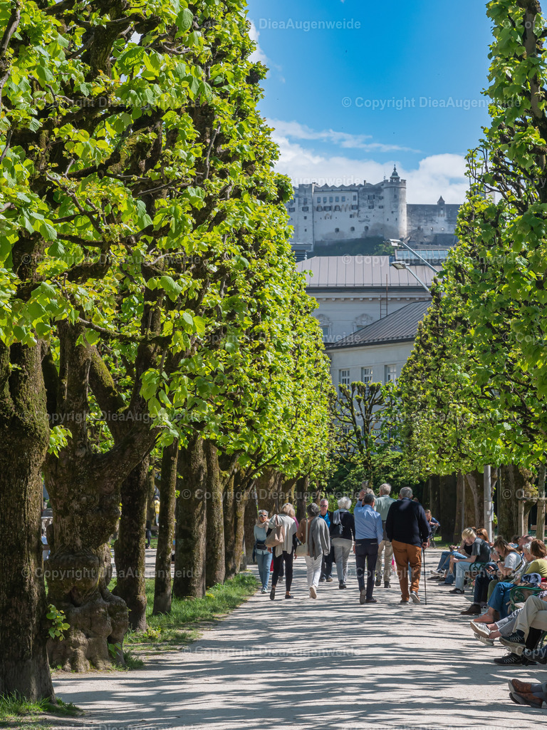 Salzburg 2 | DieAugenweide Galerie, Bilder von Fotograf Ralf-Udo Thiele. Auswählen und bestellen auf verschiedenen Materialien und Größen. - Realisiert mit Pictrs.com