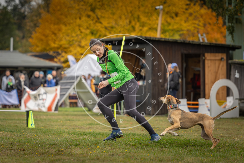 Pfotenfotografie_DV3A3152 | Hundefotografie, Tierfotograf, Pfotenfotografie, Fotoshooting Hund, Hunde Portrait, Hundesport, Hundeportraits, Heideshooting, Hunde, Sportfotograf, Hundefotograf, Turnierhundsport, THS,  - Realisiert mit Pictrs.com