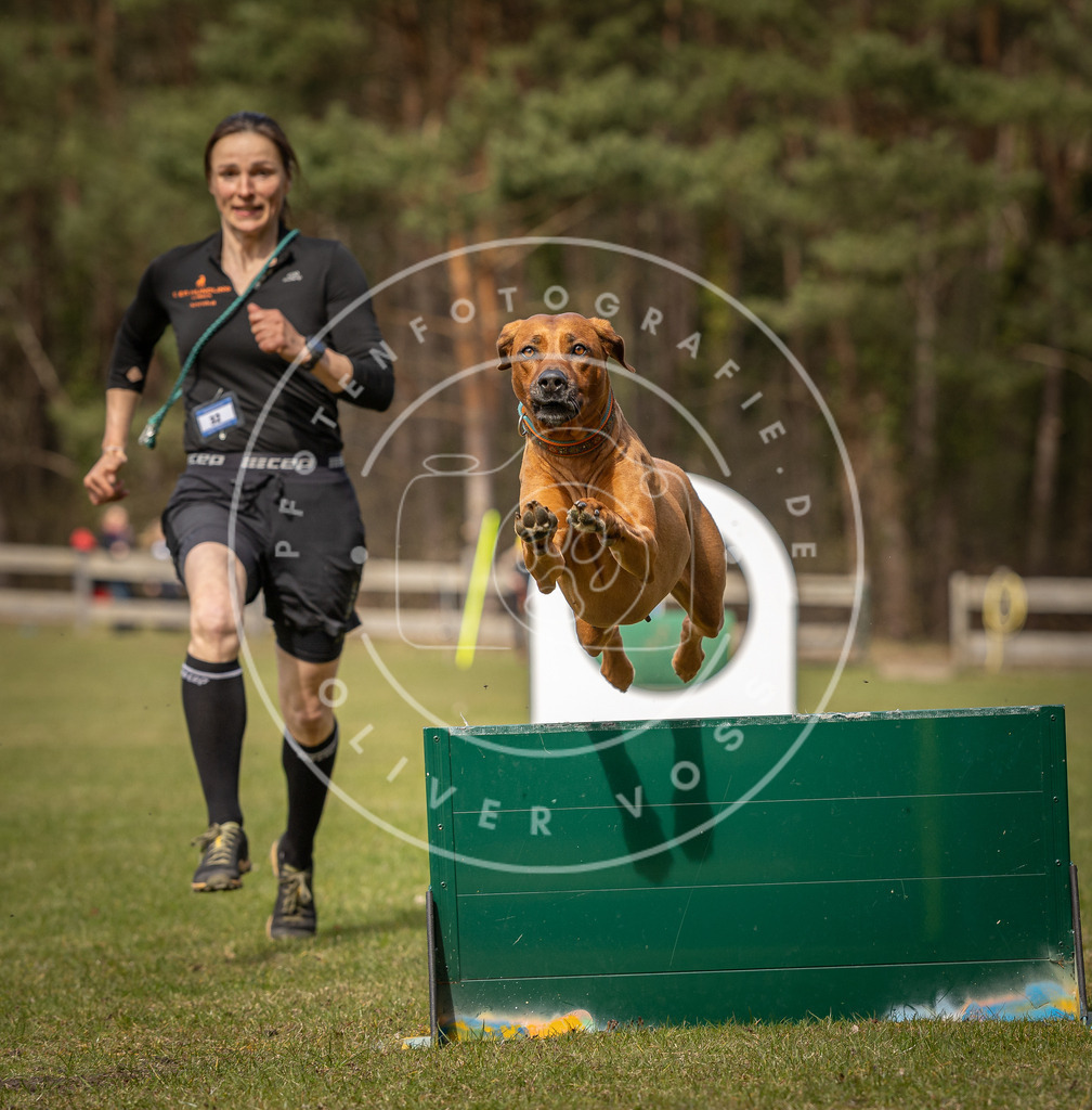 Pfotenfotografie_DV3A8276 | Hundefotografie, Tierfotograf, Pfotenfotografie, Fotoshooting Hund, Hunde Portrait, Hundesport, Hundeportraits, Heideshooting, Hunde, Sportfotograf, Hundefotograf, Turnierhundsport, THS,  - Realisiert mit Pictrs.com