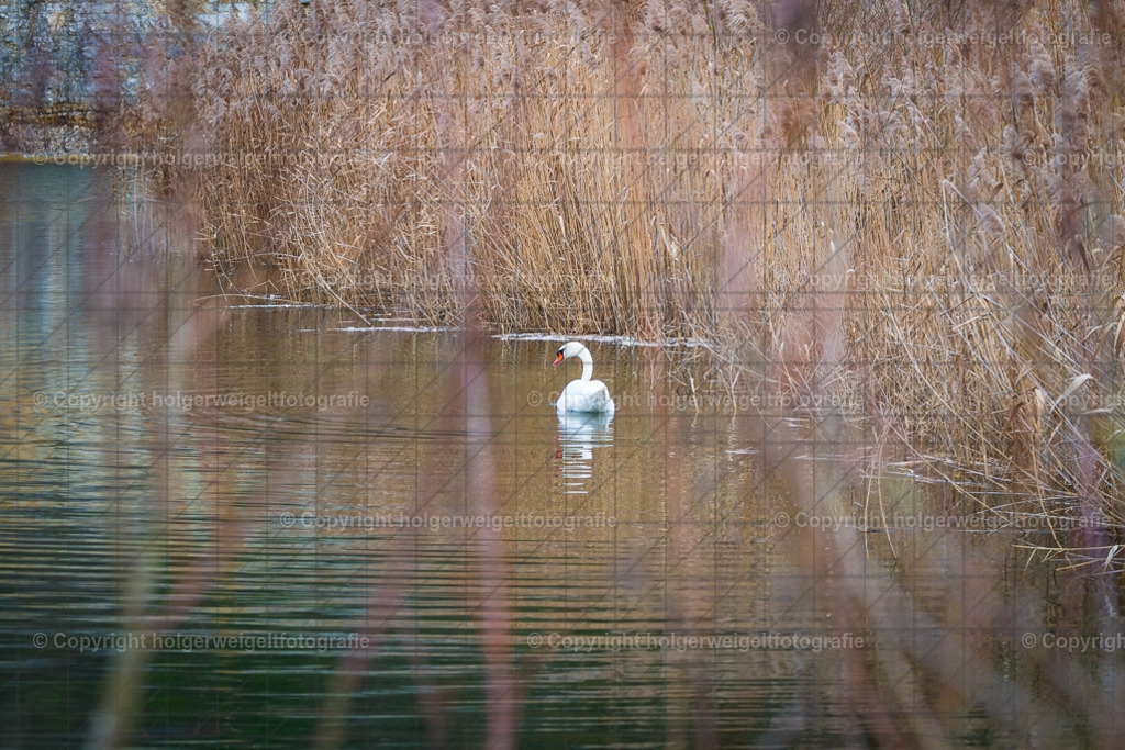 Idyll III | Kaufen sie online außergewöhnliche Fotografien auf Leinwand Acrylglas Fotoprint Aludibond von holgerweigeltfotografie - Realisiert mit Pictrs.com