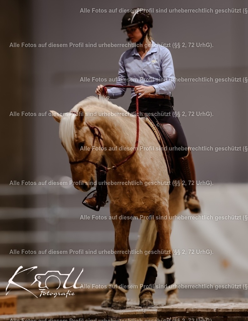 Photo_1737237293598 | krollfotografie - Realisiert mit Pictrs.com