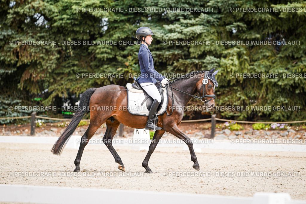 DSC02592 | Pferdegrafie