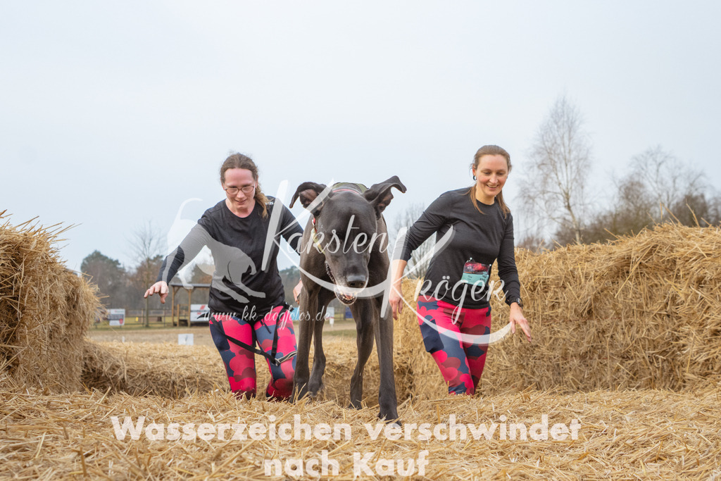 0858_ZZ95677 | kk-dogfotos