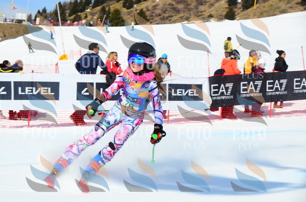 DSC_0477 | holidayphoto