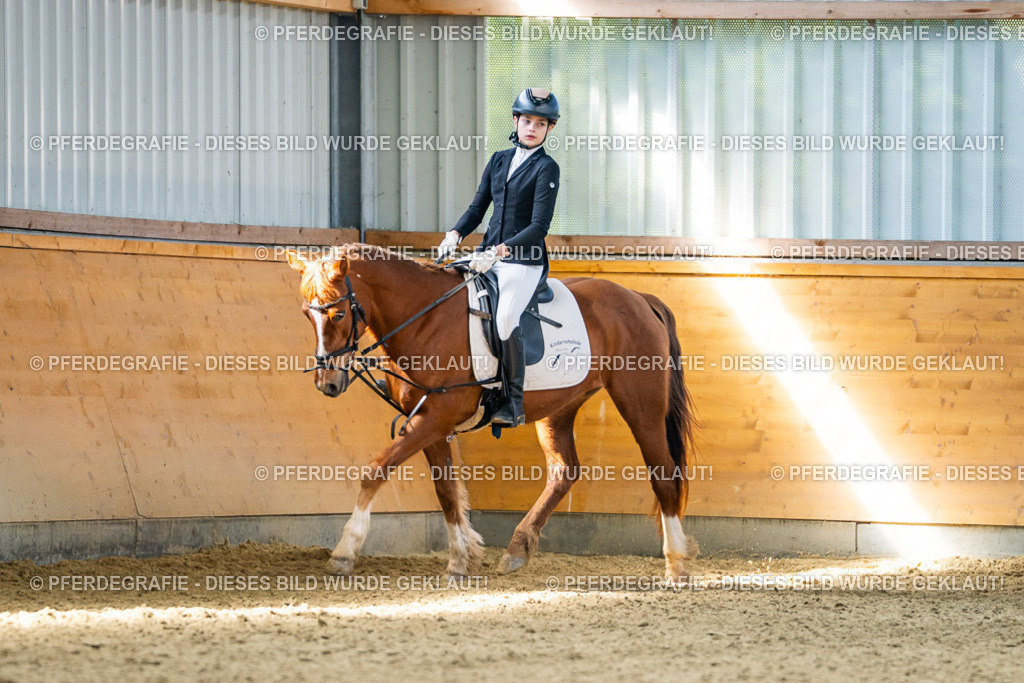 DSC02878 | Pferdegrafie