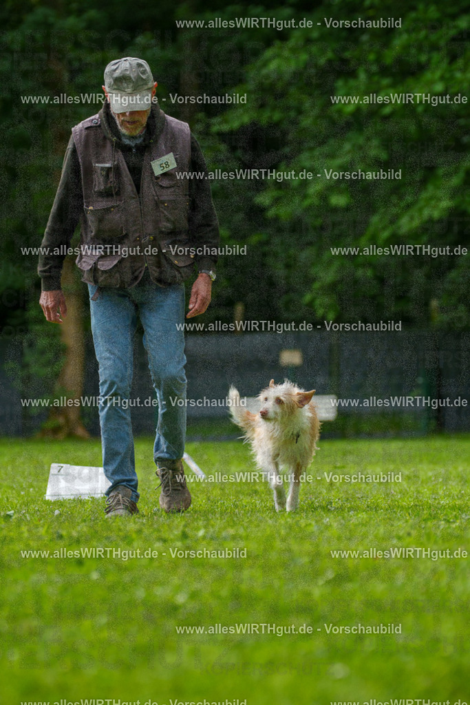 @allesWIRTHgut_Tierfotografie - www.allesWIRTHgut.de - 7R501339 | Professionelle Tierfotografie in Mönchengladbach von Daniel Wirth (allesWIRTHgut). Liebevolle & natürliche Bilder von Hunden & Katzen für unvergessliche Erinnerungen.