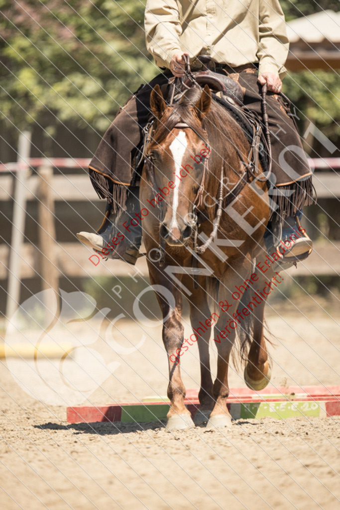 IMG_0484 | Sport-, Event- und Tierfotos in Profiqualität. Einfach auswählen, bestellen und herunterladen. Dein Moment – perfekt festgehalten.