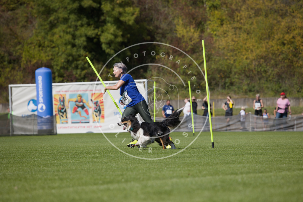 0L8A2903 | Hundefotografie, Tierfotograf, Pfotenfotografie, Fotoshooting Hund, Hunde Portrait, Hundesport, Hundeportraits, Heideshooting, Hunde, Sportfotograf, Hundefotograf, Turnierhundsport, THS,  - Realisiert mit Pictrs.com