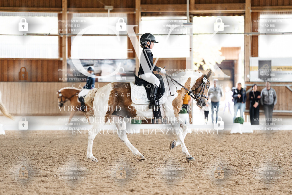 CK900534 | Turnierfotografie Pferdefotografie Trier Rheinland-Pfalz Pferdesport Reitsport Tierfotografie Sportfotografie Pferdevideo Pferdevideografie Equestrianvideography equestrianphotography  - Realisiert mit Pictrs.com