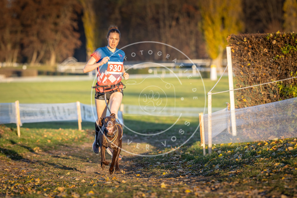 CaniXpix_DV3A5136 | Hundefotografie, Tierfotograf, Pfotenfotografie, Fotoshooting Hund, Hunde Portrait, Hundesport, Hundeportraits, Heideshooting, Hunde, Sportfotograf, Hundefotograf, Turnierhundsport, THS,  - Realisiert mit Pictrs.com