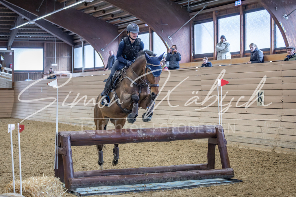 20260221-_3LI9392 | Tierfotografie Pferde, Hunde, Katzen, Haustiere.
Turnierfotografie Reitturniere, Reiten, Springreiten, Dressur in Hanau, dem Main-Kinzig-Kreis und dem Rhein-Main- Gebiet um Frankfurt